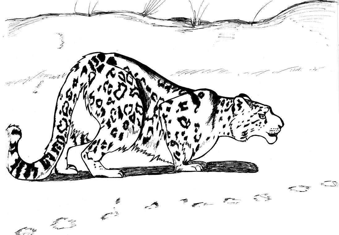 Malvorlage: Leopard (Tiere) #9836 - Kostenlose Malvorlagen zum Ausdrucken
