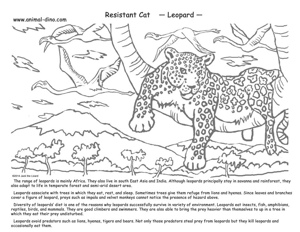 Malvorlage: Leopard (Tiere) #9858 - Kostenlose Malvorlagen zum Ausdrucken