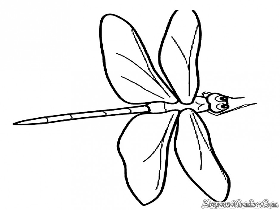 Malvorlage: Libelle (Tiere) #10002 - Kostenlose Malvorlagen zum Ausdrucken