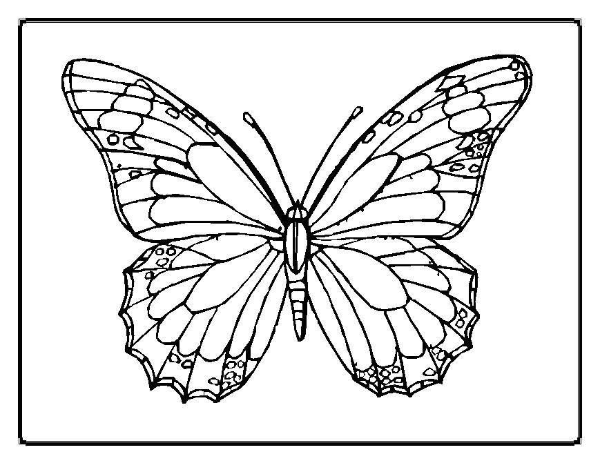 Malvorlage: Libelle (Tiere) #10016 - Kostenlose Malvorlagen zum Ausdrucken