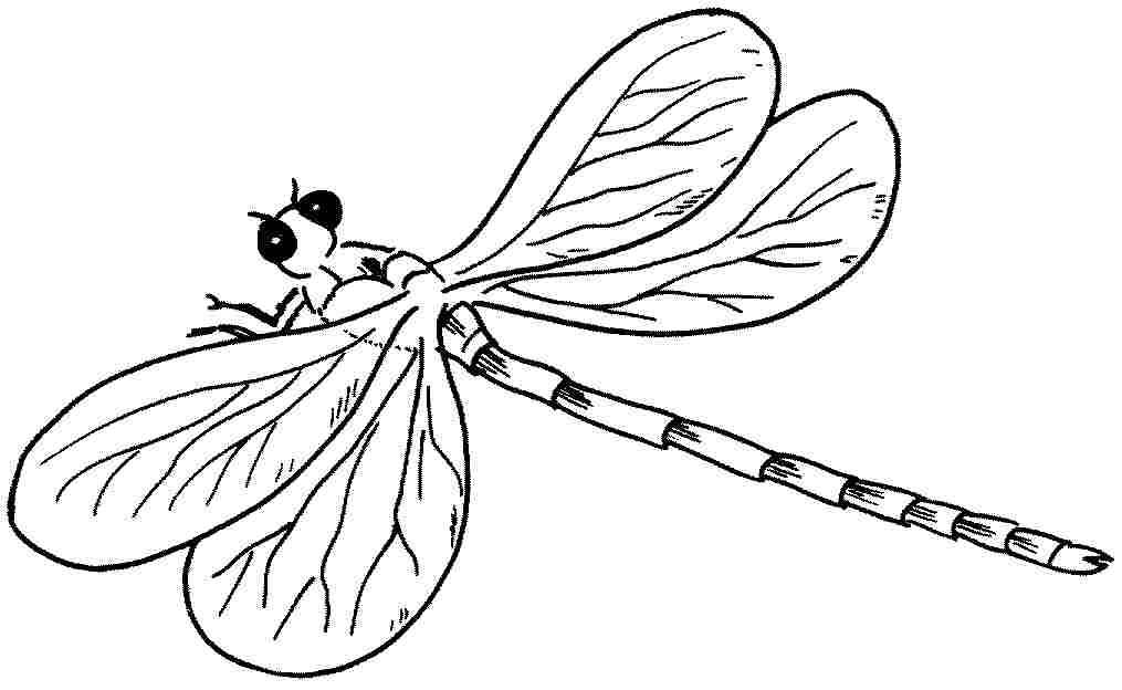 Malvorlage: Libelle (Tiere) #10024 - Kostenlose Malvorlagen zum Ausdrucken