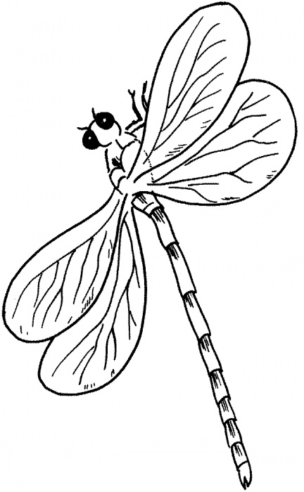 Malvorlage: Libelle (Tiere) #10061 - Kostenlose Malvorlagen zum Ausdrucken