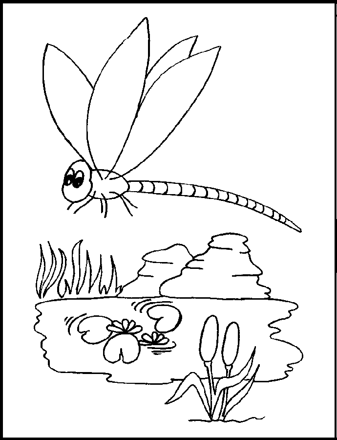 Malvorlage: Libelle (Tiere) #9890 - Kostenlose Malvorlagen zum Ausdrucken