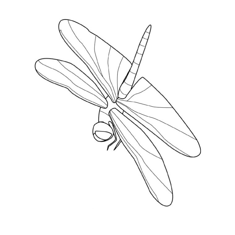 Malvorlage: Libelle (Tiere) #9916 - Kostenlose Malvorlagen zum Ausdrucken
