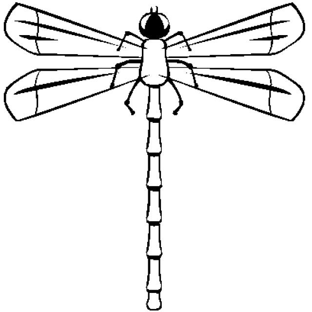 Malvorlage: Libelle (Tiere) #9938 - Kostenlose Malvorlagen zum Ausdrucken