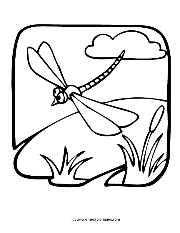 Malvorlage: Libelle (Tiere) #9950 - Kostenlose Malvorlagen zum Ausdrucken