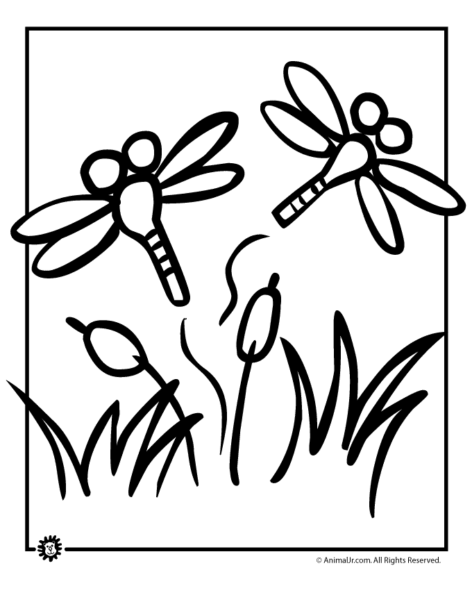 Malvorlage: Libelle (Tiere) #9988 - Kostenlose Malvorlagen zum Ausdrucken