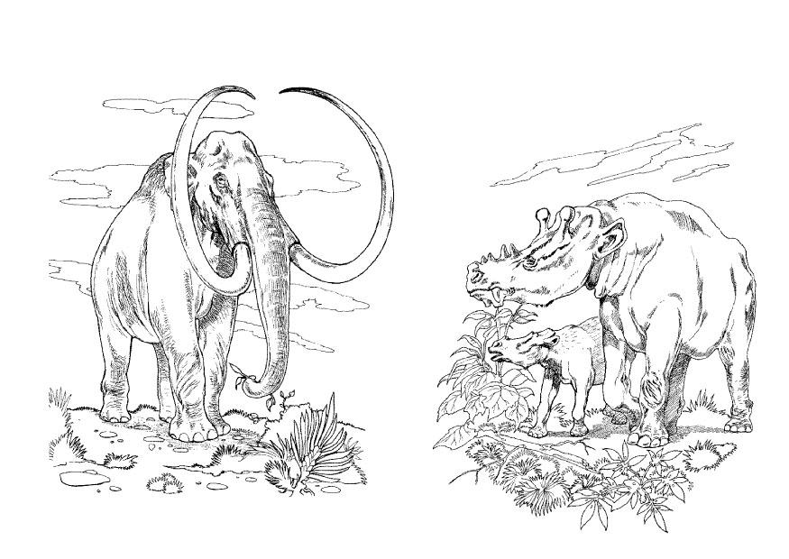 Malvorlage: Mammut (Tiere) #19282 - Kostenlose Malvorlagen zum Ausdrucken