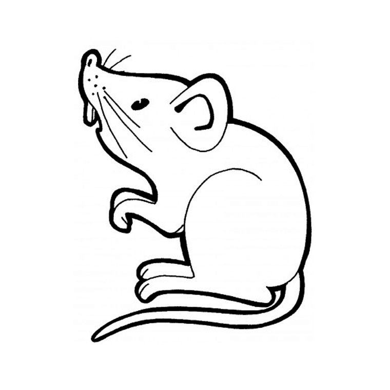 Malvorlage: Maus (Tiere) #13937 - Kostenlose Malvorlagen zum Ausdrucken