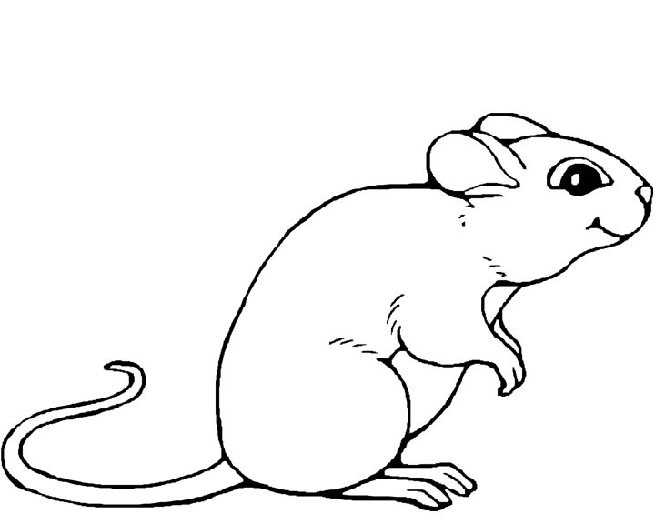 Malvorlage: Maus (Tiere) #13947 - Kostenlose Malvorlagen zum Ausdrucken