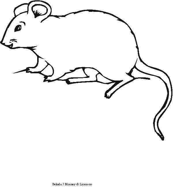 Malvorlage: Maus (Tiere) #14111 - Kostenlose Malvorlagen zum Ausdrucken
