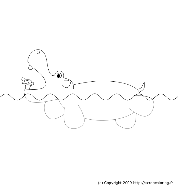 Malvorlage: Nilpferd (Tiere) #8733 - Kostenlose Malvorlagen zum Ausdrucken