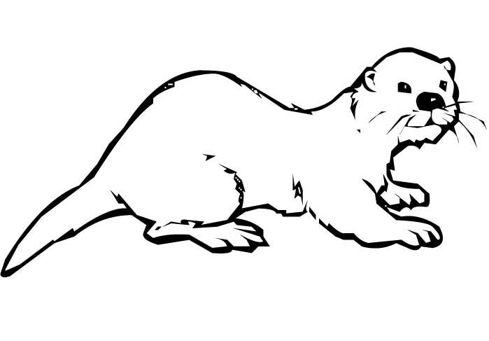 Malvorlage: Otter (Tiere) #10639 - Kostenlose Malvorlagen zum Ausdrucken