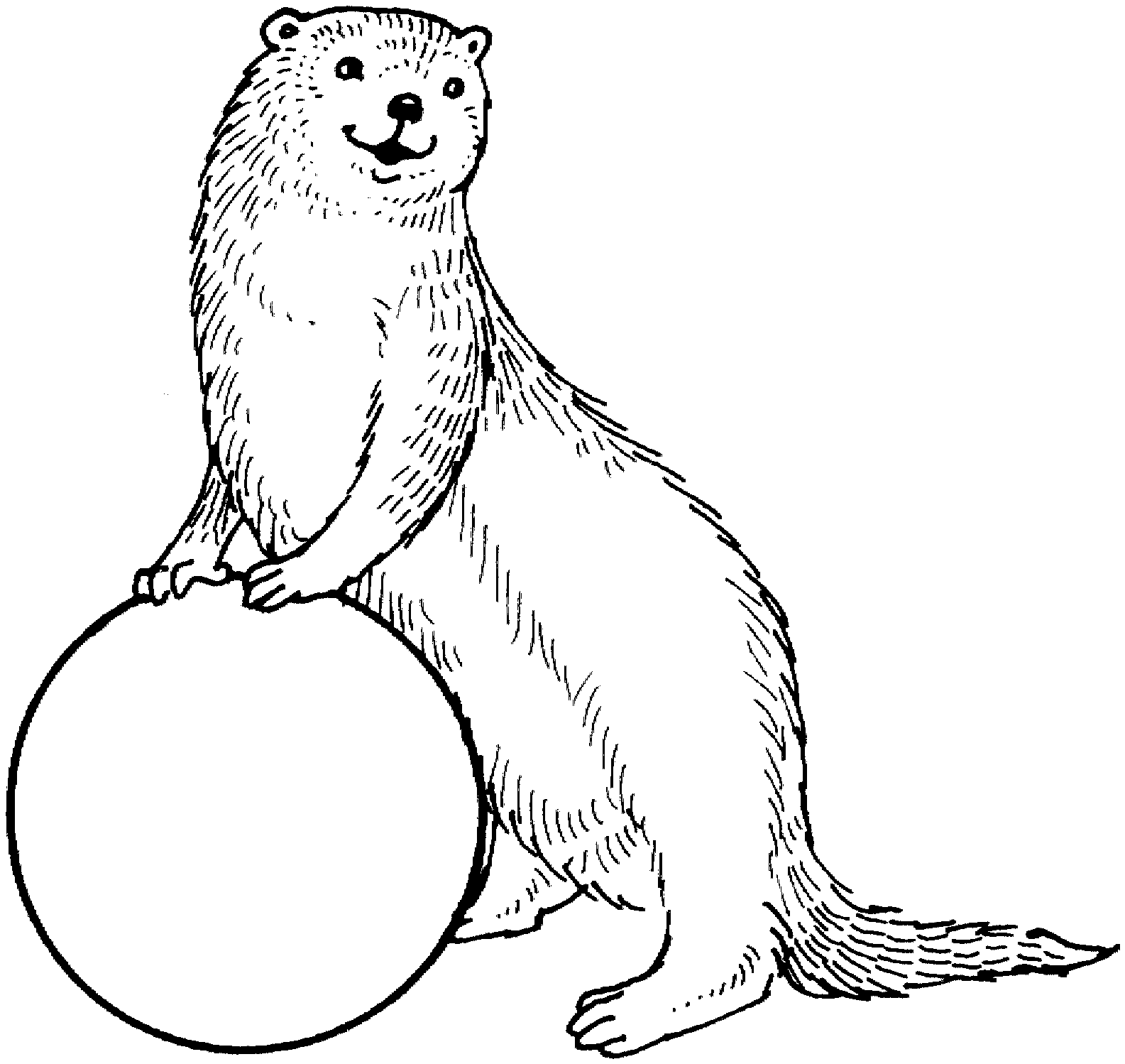 Malvorlage: Otter (Tiere) #10655 - Kostenlose Malvorlagen zum Ausdrucken