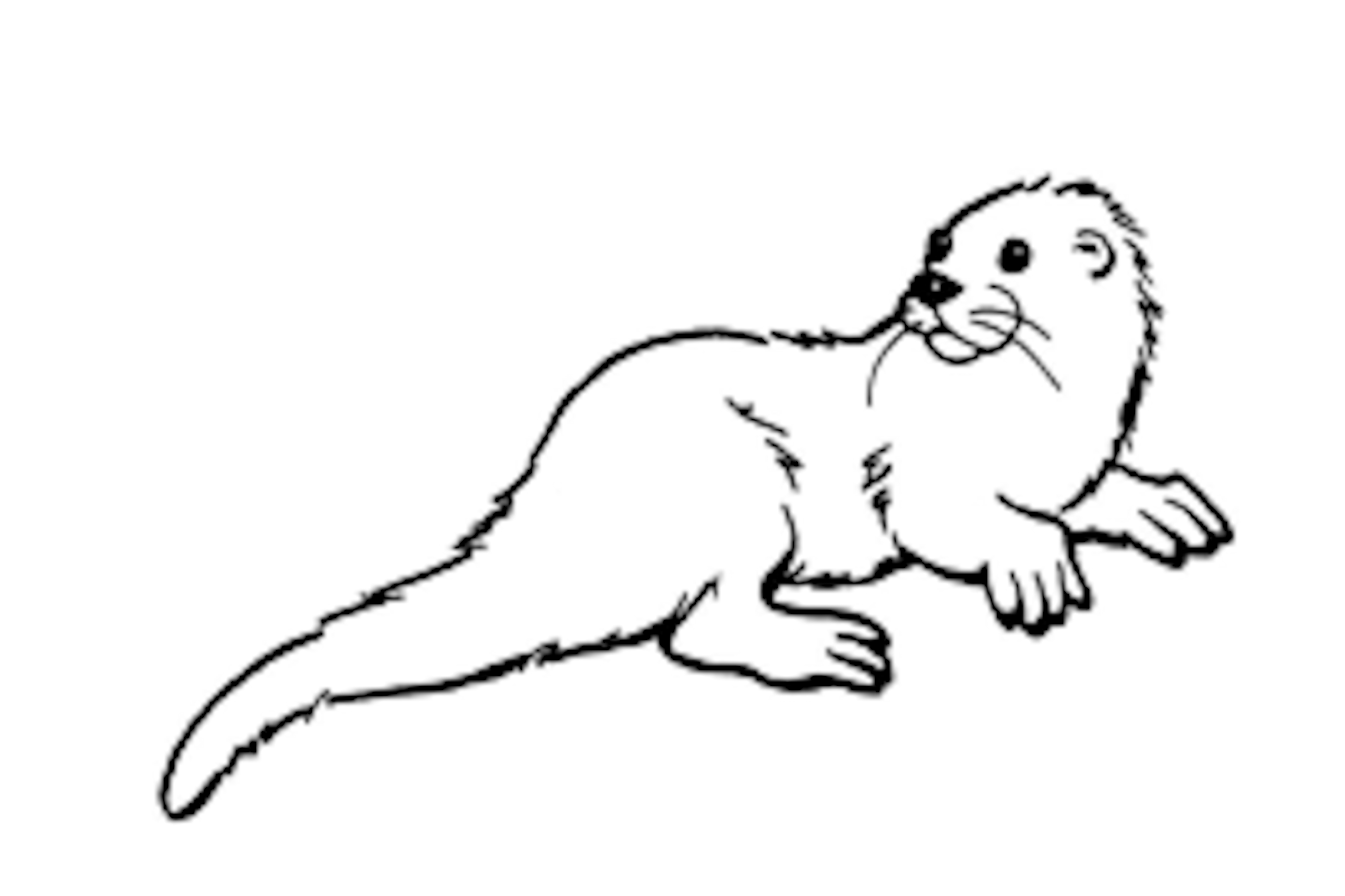 Malvorlage: Otter (Tiere) #10735 - Kostenlose Malvorlagen zum Ausdrucken