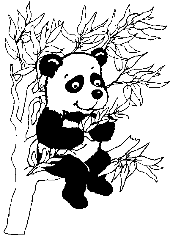 Malvorlage: Panda (Tiere) #12448 - Kostenlose Malvorlagen zum Ausdrucken