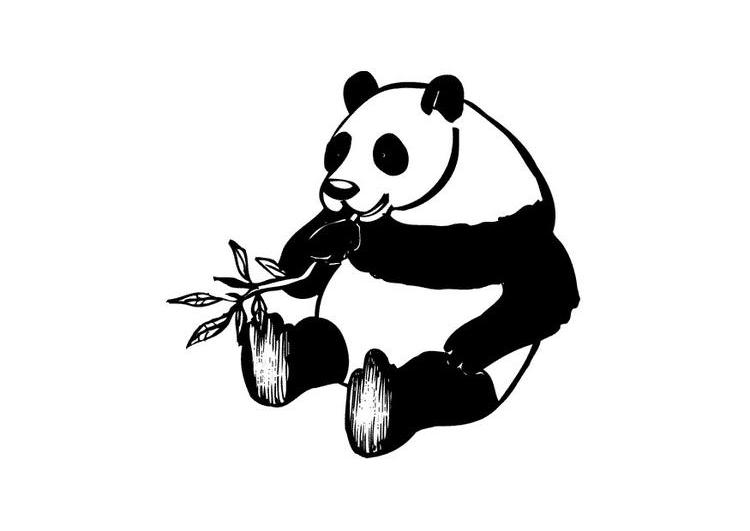 Malvorlage: Panda (Tiere) #12586 - Kostenlose Malvorlagen zum Ausdrucken
