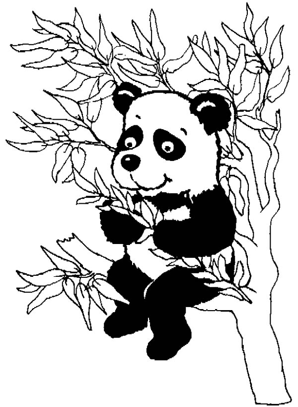 Malvorlage: Panda (Tiere) #12610 - Kostenlose Malvorlagen zum Ausdrucken