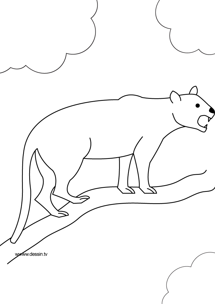 Malvorlage: Panther (Tiere) #15525 - Kostenlose Malvorlagen zum Ausdrucken