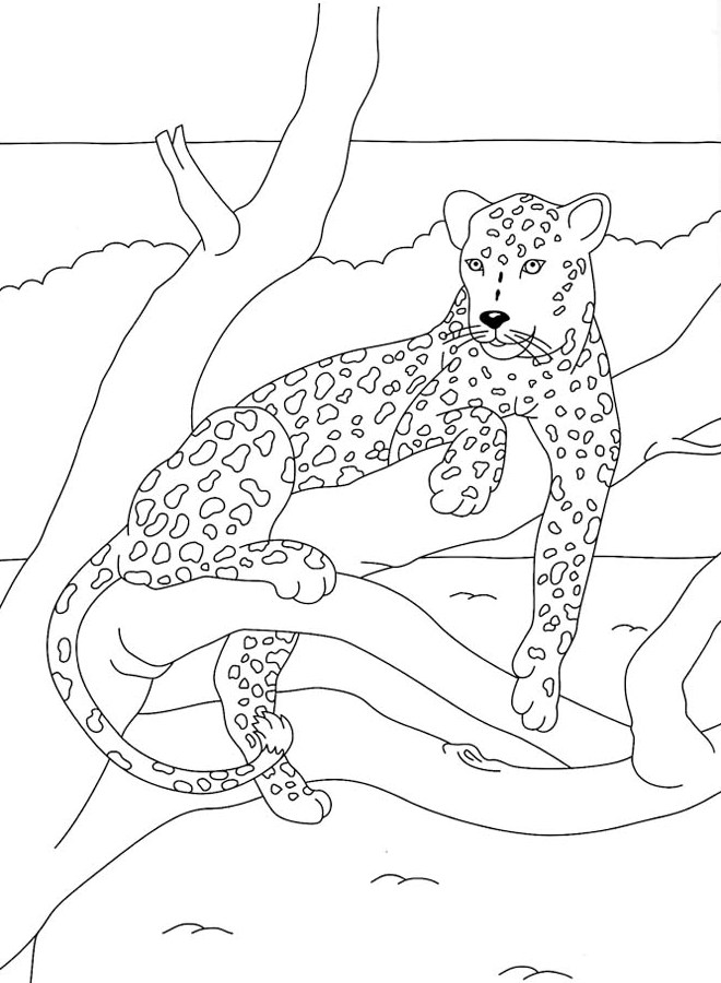 Malvorlage: Panther (Tiere) #15557 - Kostenlose Malvorlagen zum Ausdrucken