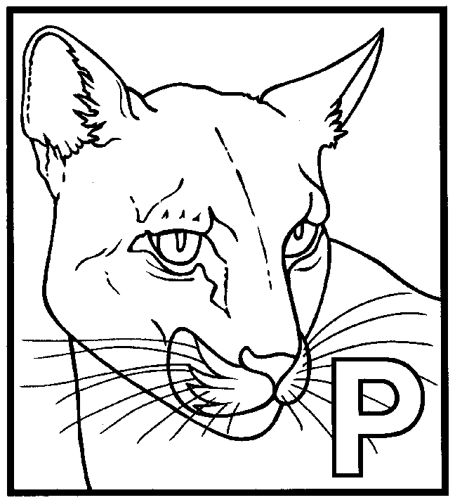 Malvorlage: Panther (Tiere) #15594 - Kostenlose Malvorlagen zum Ausdrucken