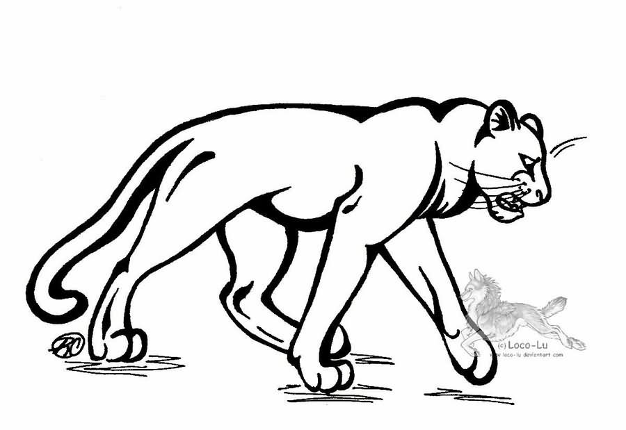 Malvorlage: Panther (Tiere) #15627 - Kostenlose Malvorlagen zum Ausdrucken