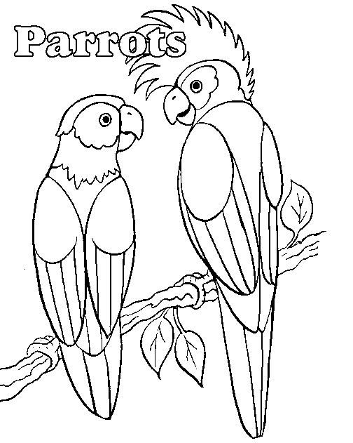 Malvorlage: Papagei (Tiere) #16068 - Kostenlose Malvorlagen zum Ausdrucken