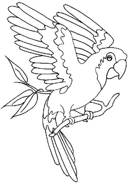 Malvorlage: Papagei (Tiere) #16072 - Kostenlose Malvorlagen zum Ausdrucken