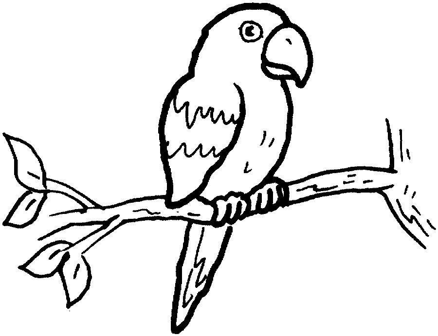 Malvorlage: Papagei (Tiere) #16074 - Kostenlose Malvorlagen zum Ausdrucken