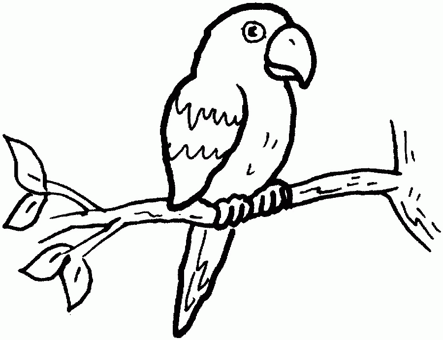 Malvorlage: Papagei (Tiere) #16099 - Kostenlose Malvorlagen zum Ausdrucken