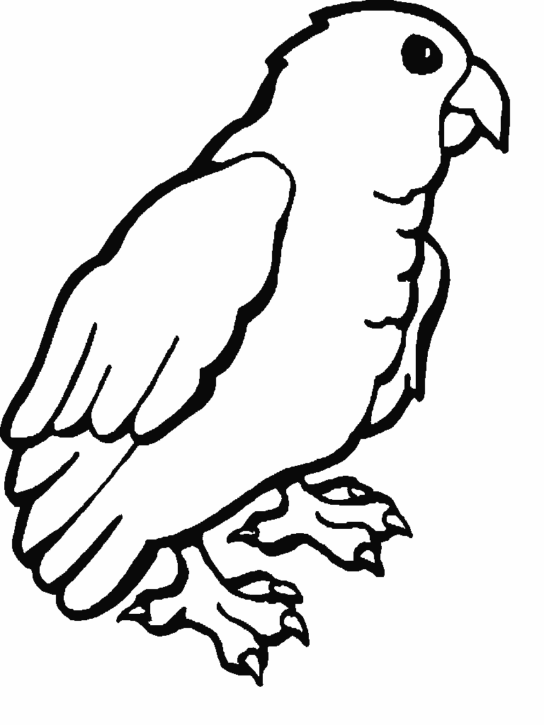 Malvorlage: Papagei (Tiere) #16109 - Kostenlose Malvorlagen zum Ausdrucken