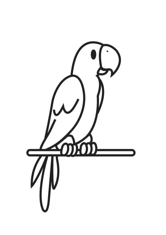 Malvorlage: Papagei (Tiere) #16148 - Kostenlose Malvorlagen zum Ausdrucken