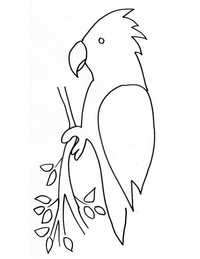Malvorlage: Papagei (Tiere) #16168 - Kostenlose Malvorlagen zum Ausdrucken