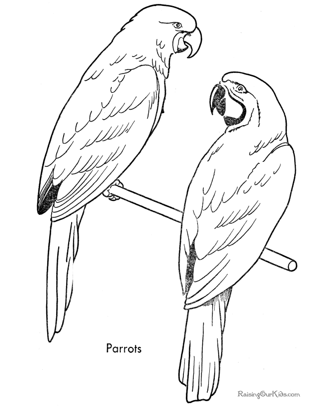 Malvorlage: Papagei (Tiere) #16194 - Kostenlose Malvorlagen zum Ausdrucken