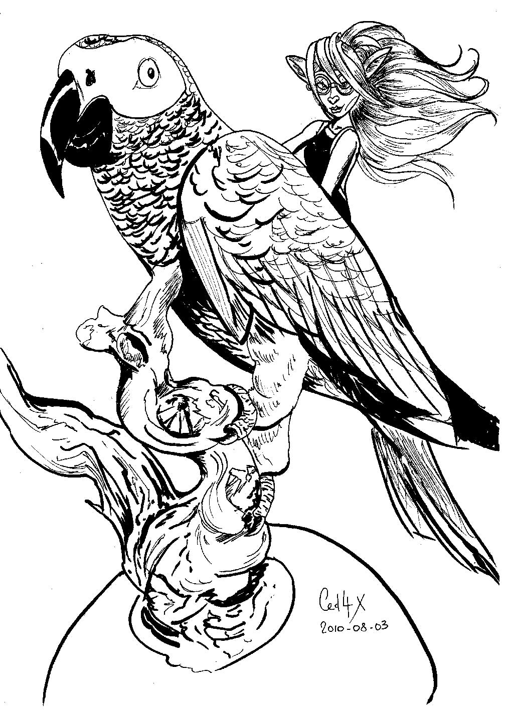 Malvorlage: Papagei (Tiere) #16242 - Kostenlose Malvorlagen zum Ausdrucken