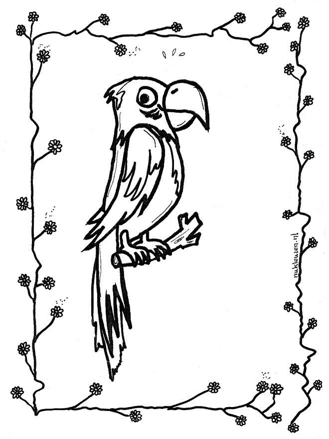 Malvorlage: Papagei (Tiere) #16245 - Kostenlose Malvorlagen zum Ausdrucken