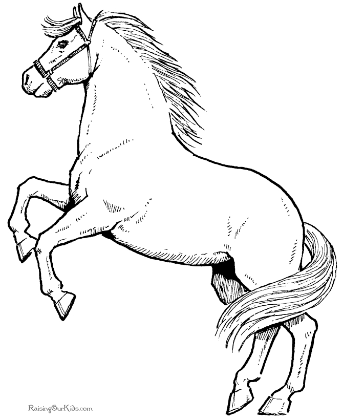 Malvorlage: Pferd (Tiere) #2164 - Kostenlose Malvorlagen zum Ausdrucken