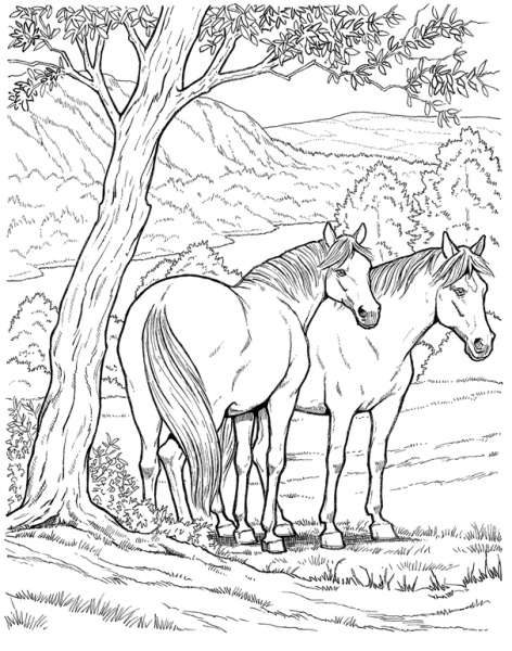 Malvorlage: Pferd (Tiere) #2172 - Kostenlose Malvorlagen zum Ausdrucken