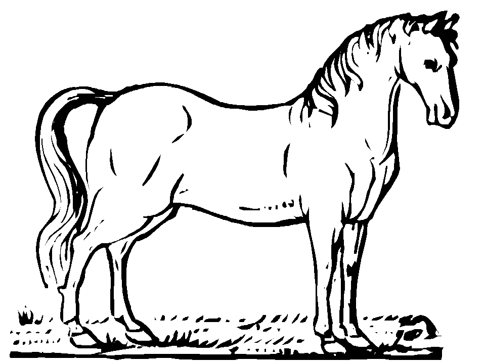 Malvorlage: Pferd (Tiere) #2176 - Kostenlose Malvorlagen zum Ausdrucken