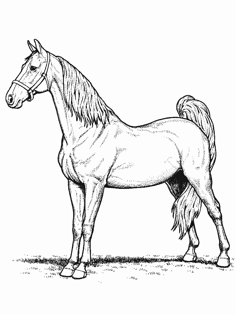 Malvorlage: Pferd (Tiere) #2184 - Kostenlose Malvorlagen zum Ausdrucken
