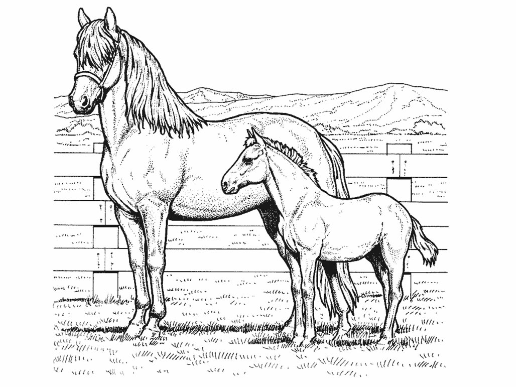 Malvorlage: Pferd (Tiere) #2185 - Kostenlose Malvorlagen zum Ausdrucken