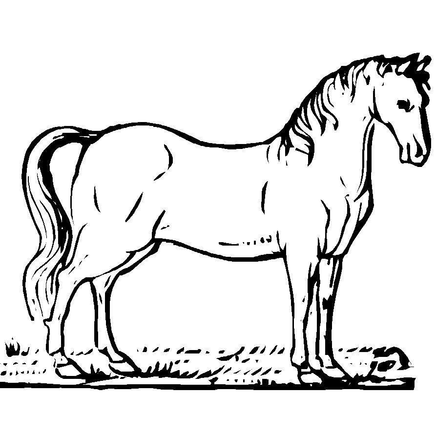 Malvorlage: Pferd (Tiere) #2198 - Kostenlose Malvorlagen zum Ausdrucken