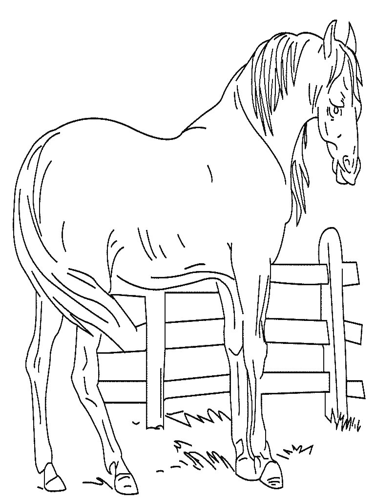 Malvorlage: Pferd (Tiere) #2207 - Kostenlose Malvorlagen zum Ausdrucken