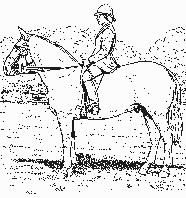 Malvorlage: Pferd (Tiere) #2211 - Kostenlose Malvorlagen zum Ausdrucken