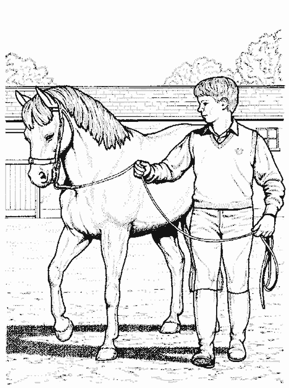 Malvorlage: Pferd (Tiere) #2264 - Kostenlose Malvorlagen zum Ausdrucken