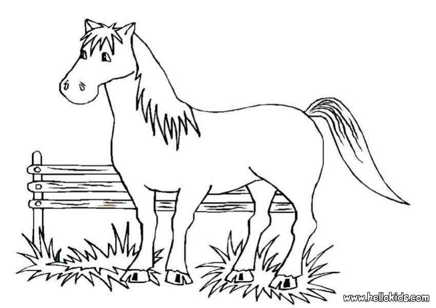 Malvorlage: Pferd (Tiere) #2269 - Kostenlose Malvorlagen zum Ausdrucken