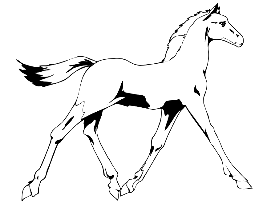 Malvorlage: Pferd (Tiere) #2297 - Kostenlose Malvorlagen zum Ausdrucken