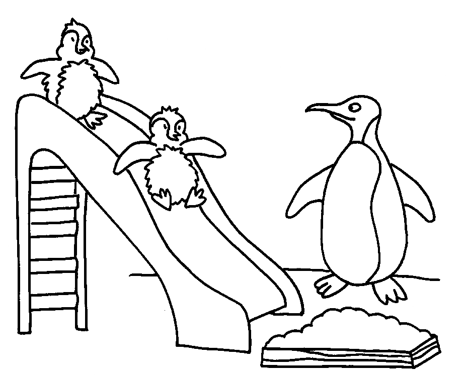 Malvorlage: Pinguin (Tiere) #16825 - Kostenlose Malvorlagen zum Ausdrucken