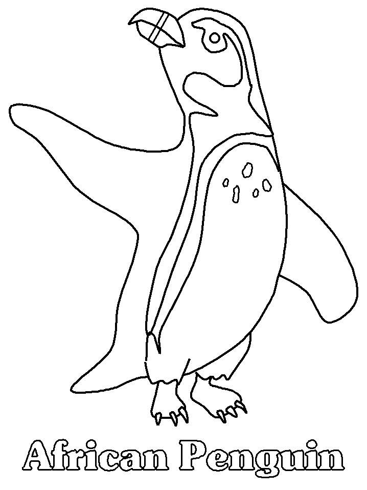 Malvorlage: Pinguin (Tiere) #16847 - Kostenlose Malvorlagen zum Ausdrucken