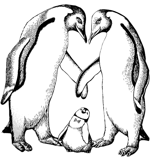 Malvorlage: Pinguin (Tiere) #16854 - Kostenlose Malvorlagen zum Ausdrucken